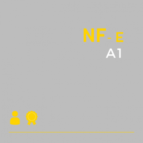 Certificado Digital para Nota Fiscal Eletrônica A1 (NF-e A1)