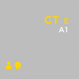 Certificado Digital para Transportadoras A1 (CT-e A1)