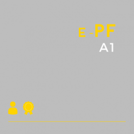 Certificado Digital para Pessoa Física A1 (e-PF A1)