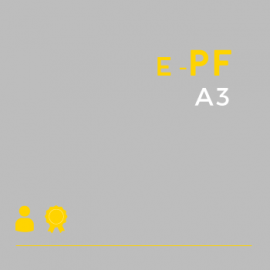 Certificado Digital para Pessoa Física A3 (e-PF A3)