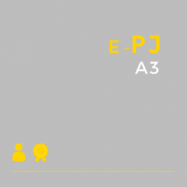 Certificado Digital para Pessoa Juridica A3 (e-PJ A3)