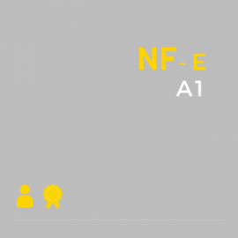 Certificado Digital para Nota Fiscal Eletrônica A1 (NF-e A1)