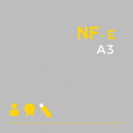 Certificado Digital para Nota Fiscal Eletrônica A3 em token (NF-e A3)