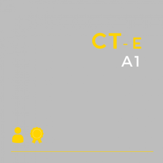 Certificado Digital para Transportadoras A1 (CT-e A1)