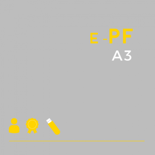 Certificado Digital para Pessoa Física A3 em token (e-PF A3)