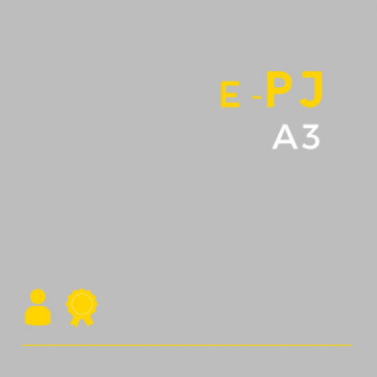 Certificado Digital para Pessoa Juridica A3 (e-PJ A3)